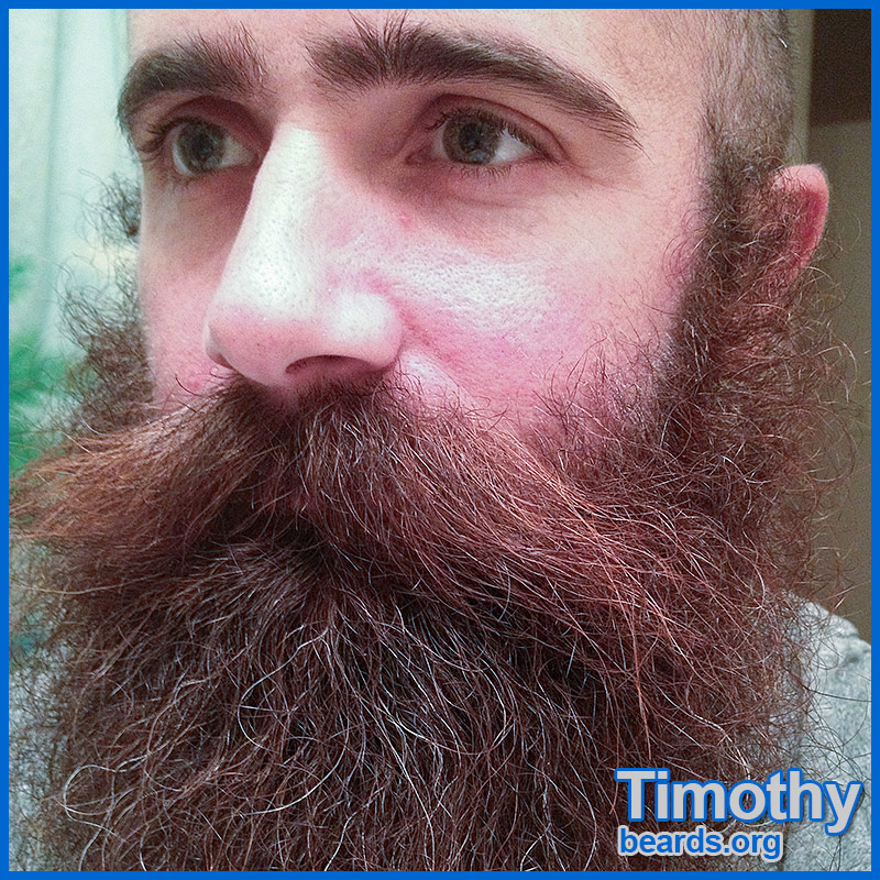 Click to go to Timothy's photo album.